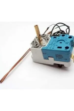 Termostato termo Fagor 230192002 Precio Económico