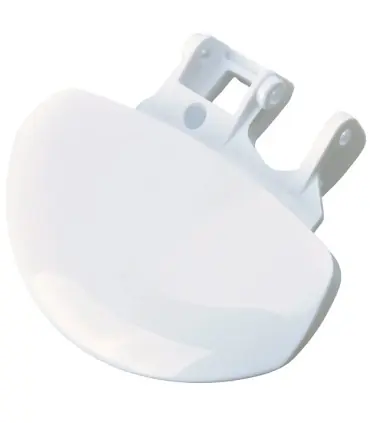 Ocasión Especial Cierre puerta lavadora ELECTROLUX ZANUSSI (1260570500)