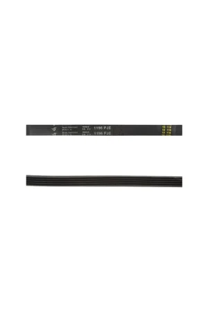 Bestseller Correa lavadora|compatible con ZANUSSI|Calidad OEM|Codigo fabricante 1323531200|Tipo 5PJE 1196