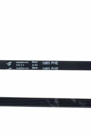 Correa Secadora 1965 PHE 481235818186 Entrega Rápida