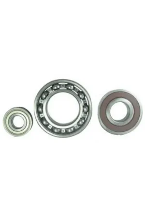 Más Vendido Rodamiento de bolas lavadora Standard SKF 6204 2RS