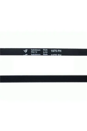 Correa Secadora 1975 PH Precio Económico