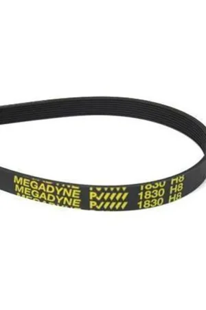 Correa Secadora 1830 H8 Imprescindible (Must-Have)