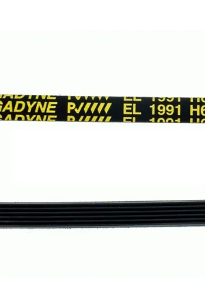 Alta Calidad Correa Secadora EL 1991 H6 Megadyne 144002145