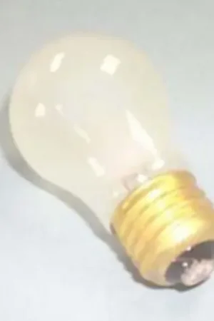 A Buen Precio Bombilla interior frigorífico 40W formato e27.