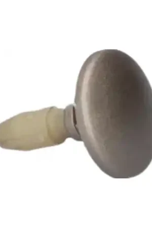 Compra Ahora Botón programador para Horno Brandt CCM003490