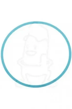 Junta de distribuidor de llama de estufa 600404, 00600404 Últimas Unidades