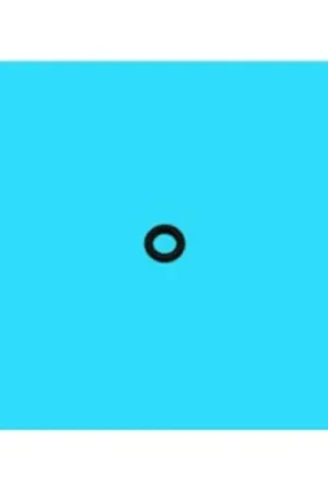 Compra Hoy Junta descalcificador lavavajillas smeg