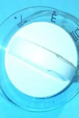 Mando lavavajillas Electrolux 1505297117 Pago Seguro