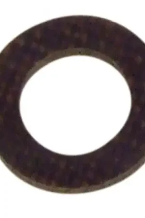 Arandela aspersor inFerior AEG 8996698014249 Compra Hoy