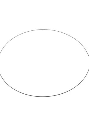 Súper Precio Brida Escotilla Lavadora LG 4861EN3004B