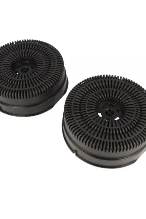 Precio Bajo Filtro Carbon Campana ELICA BOSCH Type 58. 00752620