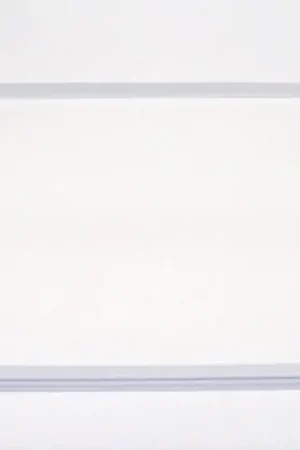 Últimas Unidades Burlete Frigorífico LIEBHERR 570 x 820 mm. 710850200