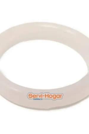 Junta Resistencia THERMEX Ø 46 x 62 mm Alta Calidad