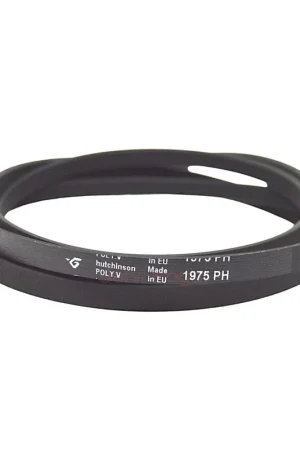 1975 H5 Correa Secadora CANDY 80005267 Ocasión Especial