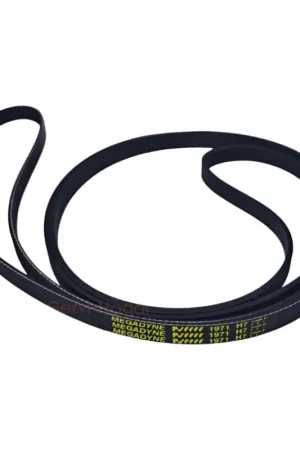 Pago Seguro 1971 H7 Correa Secadora ELECTROLUX 140056254018