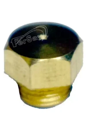 INYECTOR CALENTADOR COINTRA 6 MM Ø ROSCA 5 MM. FER44CT0215 Compra Hoy