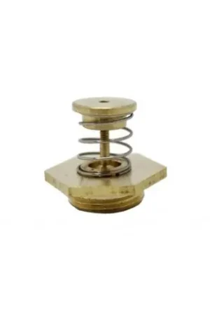 No Te Lo Pierdas REGULADOR AGUA CALENTADOR FAGOR CA0387701. FER44FA0219A