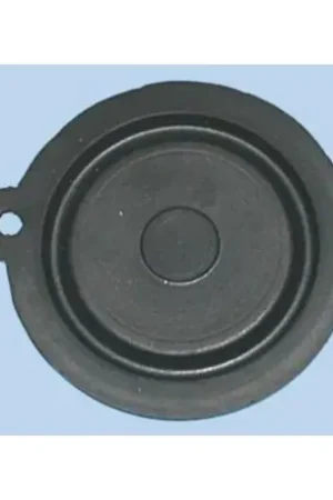 MEMBRANA CALENTADOR OTSEIN 5 L. FER44OT0005 Alta Calidad