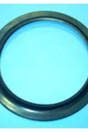 GUARNICION PARA TERMO ARISTON FER40AR0008 Barato