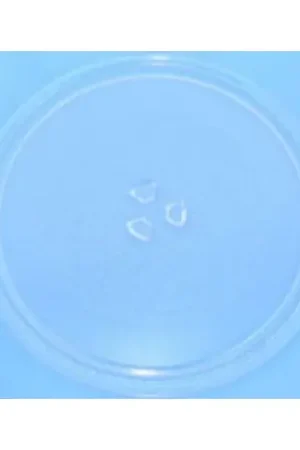 Stock Limitado ANCASTOR Plato MICROONDAS DIÁMETRO 284 MM. FERRM-GT1062