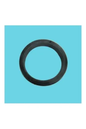 JUNTA PORTAVAINAS TERMO FAGOR D:95MM 230134001. FER40FA0108 Solo Por Tiempo Limitado