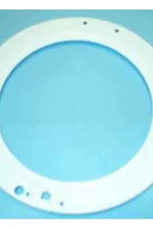 ARO AEG INTERIOR PUERTA LAVADORA. FER57ZN0012 Mejor Precio