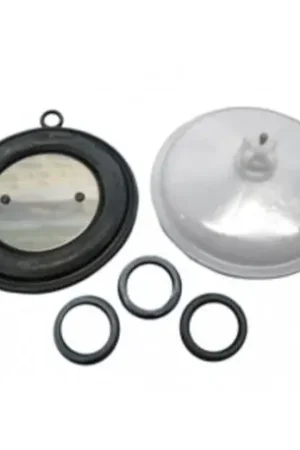 MEMBRANA CALDERA SAUNIER DUVAL ISOTHERM FER44SD1207 Ordenar Ahora Mismo