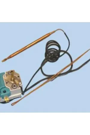 TERMOSTATO TERMO FAGOR 230192002. FER39FA0005 No Te Lo Pierdas