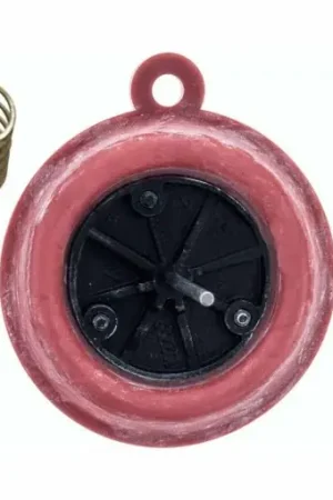 Imprescindible (Must-Have) Membrana calentador Vaillant 115300