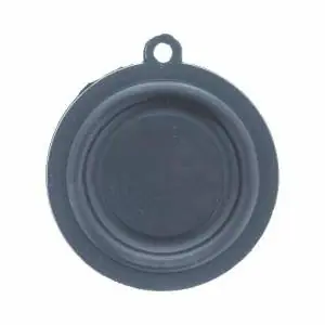 Promoción Exclusiva Membrana para calentador Vaillant