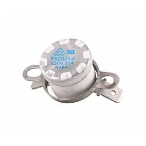 Rebajas Termostato para centro de planchado Bosch Siemens