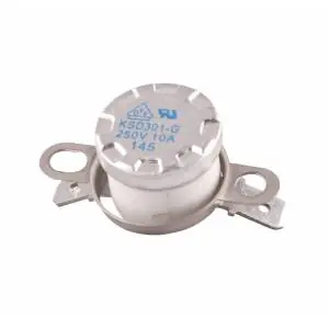 Termostato presión centro planchado Siemens Precio Rebajado