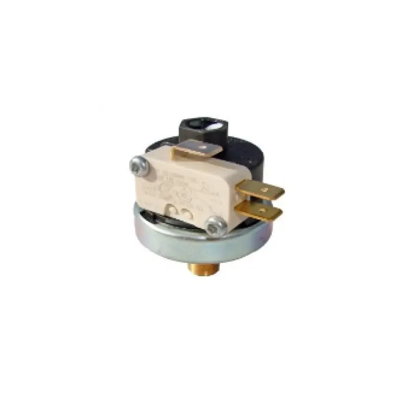 Presostato Vaporeta Standard 1/8 Macho Con Micro 2.7Bar Directo De Fábrica