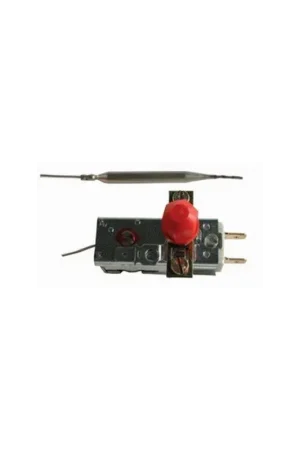 Ordena Ya Termostato seguridad Repagas 1