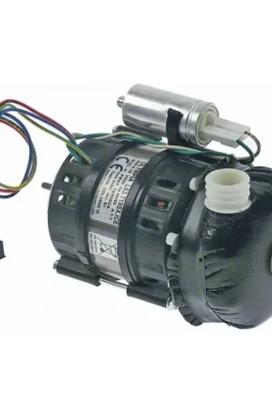 Solo Por Tiempo Limitado Bomba olympia L63.T19ICE