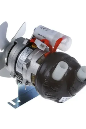 Imprescindible (Must-Have) Bomba Fir 42402300