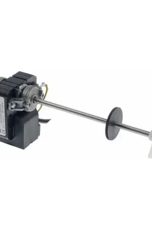 Bomba Trial Oferta De Temporada