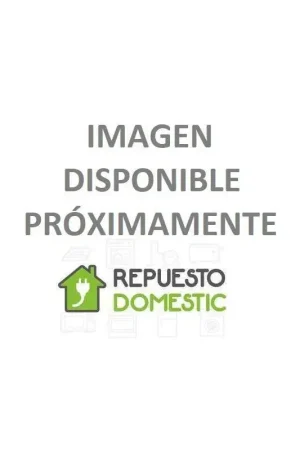 Suela Plancha de Vapor Rowenta Pro Master Varios Modelos Novedad