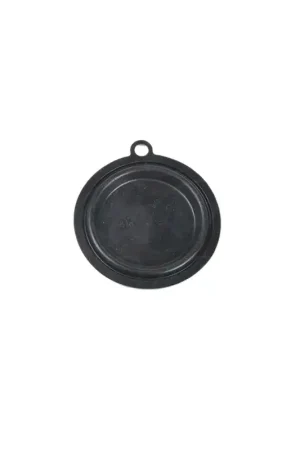 Ordenar Ahora Mismo Membrana Calentador Cointra COB10 398C0220