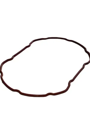 Popular Junta de caldera Polti Vaporella Forever serie 600 M0S10345