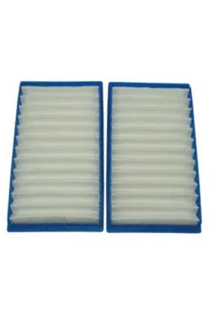 Precio Reducido Pack de 2 Filtros Hepa Aspirador DYSON modelo DC02