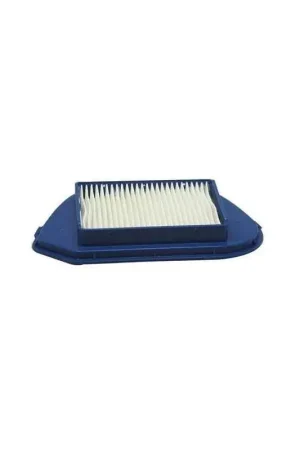 Filtro Salida aire Aspirador ROWENTA Compacteo Ergo RO5349, RO5353 Ordena Ya