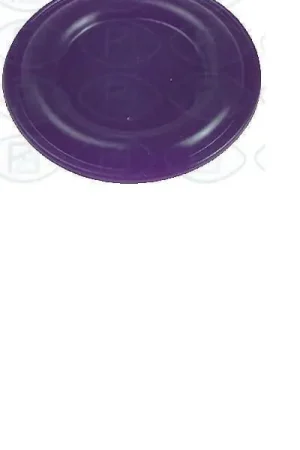 MEMBRANA CALENTADOR COINTRA5 Y 10 L 55,5 MM5281503050 Precio Económico