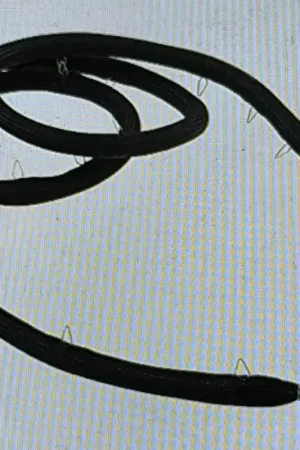 JUNTA PUERTA HORNO ELECTROLUX, AEG, ZANUSSI, RECAMBIO ORIGINAL, 94971309601,3565246018 Novedad