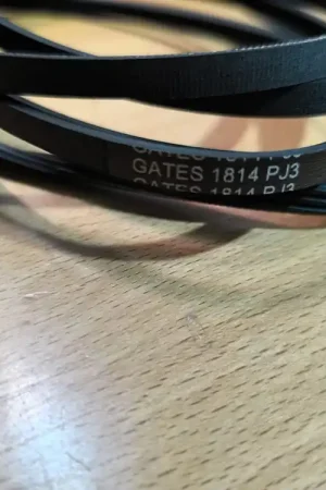 Novedad CORREA SECADORA BALAY, 1814PJ3 - Secadoras