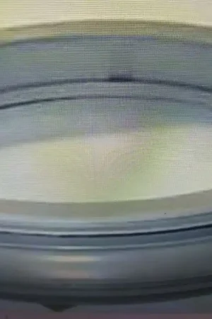 Ordenar Ahora Mismo GOMA PUERTA LAVADORA ZANUSSI, CALIDAD ALTERNATIVA, 320/280/70MM, 1240167013