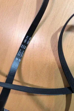 CORREA SECADORA OTSEIN, FAGOR, BAUKNECHT, 1951H7EL Precio De Fábrica