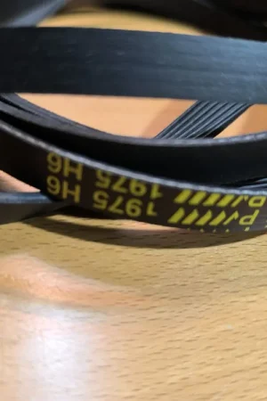 CORREA SECADORA BOSCH, ZANUSSI, ARDO, 1975H6 - Secadoras Precio De Oferta