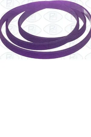 CORREA SECADORA ARISTON 04AG302,1930H5 - Secadoras Imprescindible (Must-Have)